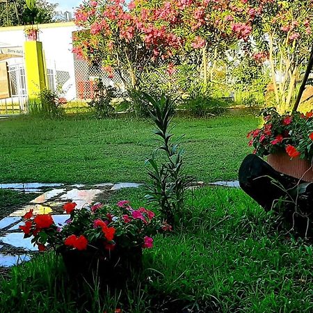 Kolonia E Artistave Appartement Velipojë Buitenkant foto