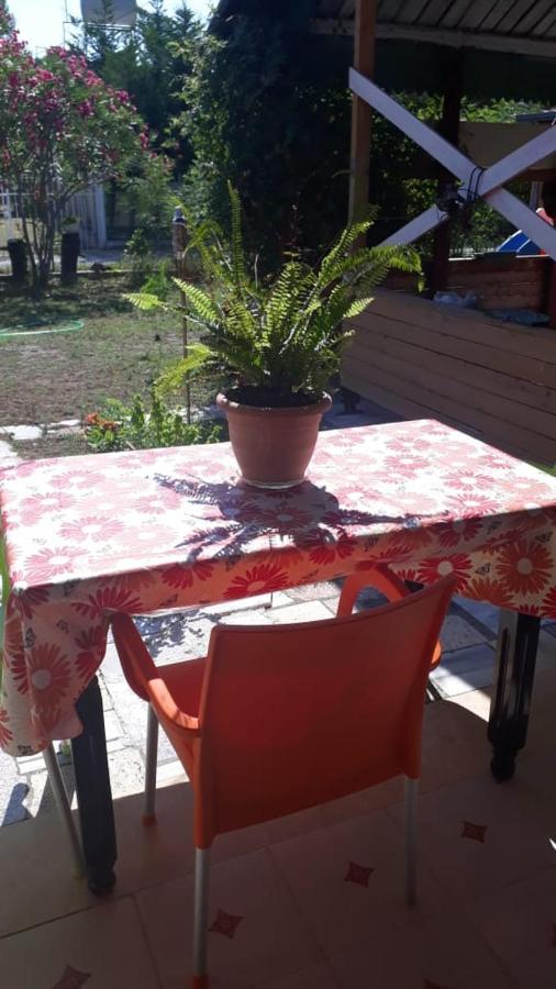 Kolonia E Artistave Appartement Velipojë Buitenkant foto