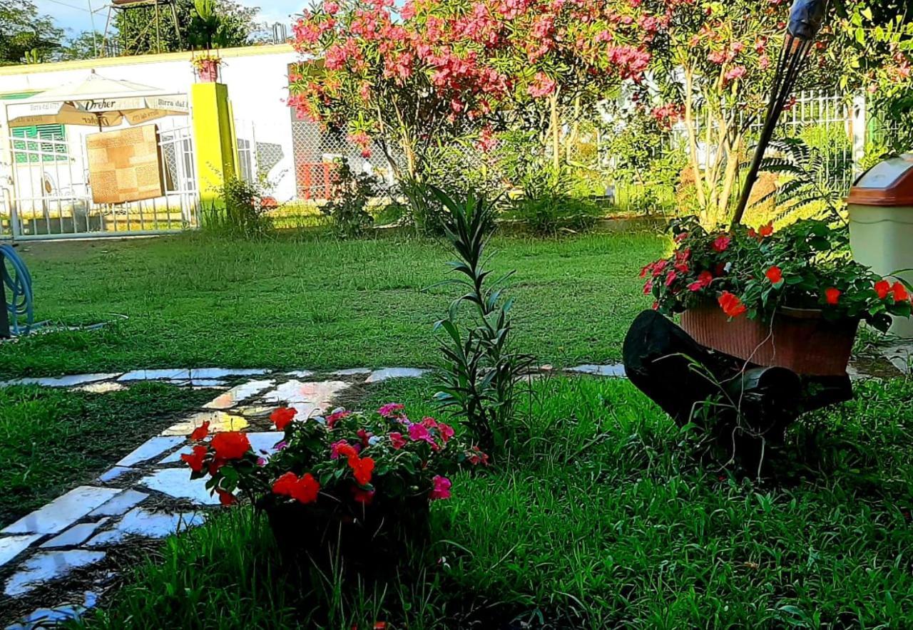 Kolonia E Artistave Appartement Velipojë Buitenkant foto