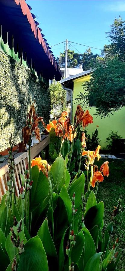 Kolonia E Artistave Appartement Velipojë Buitenkant foto