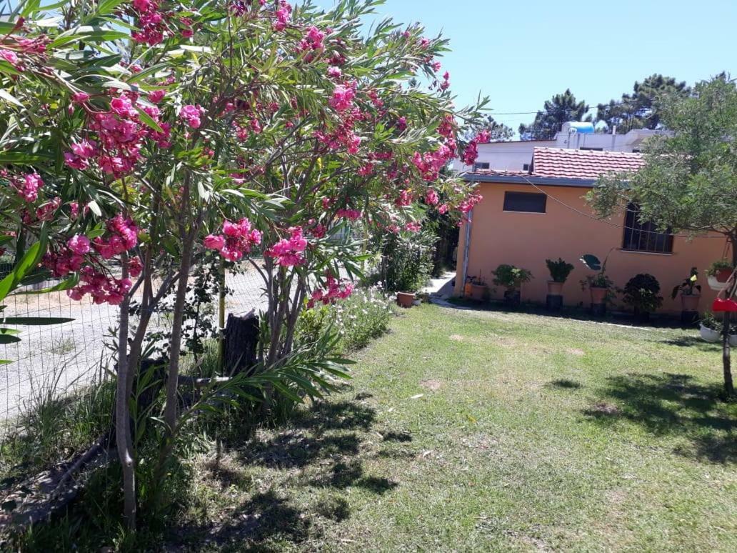 Kolonia E Artistave Appartement Velipojë Buitenkant foto